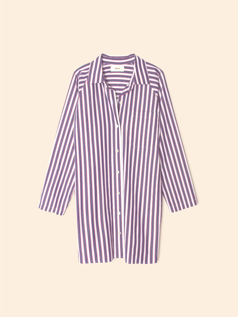 FLORA Shirt Dress in Blue Rose Stripes