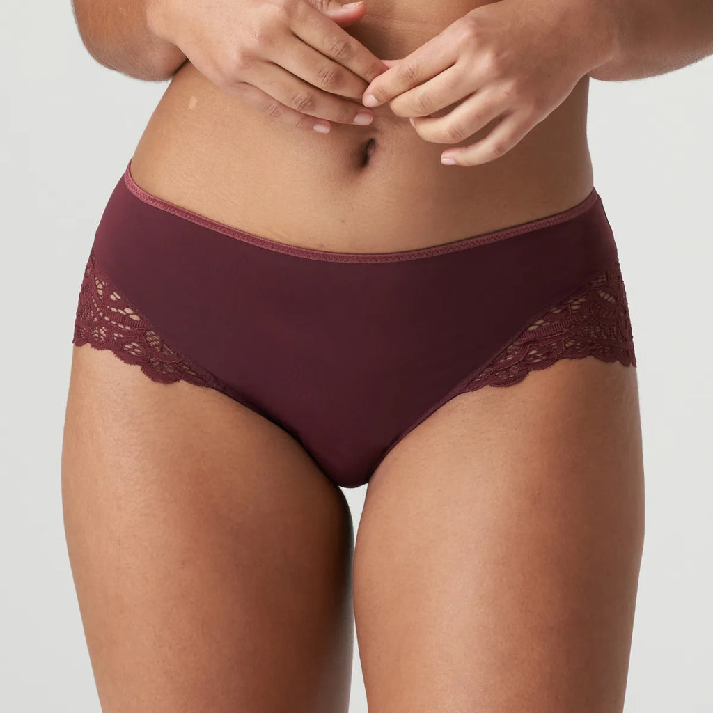 FIRST NIGHT Twist Hotpants in Merlot