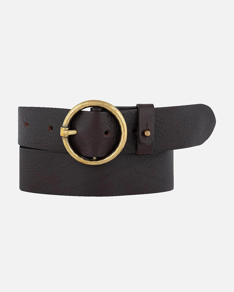 PIP 2.0 Belt in Brown